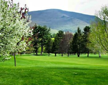 Green grassy lawn surrounded by green and white flowering trees with mountain in the background